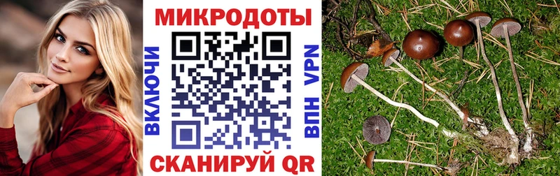 как найти закладки  Фурманов  Псилоцибиновые грибы MAGIC MUSHROOMS 