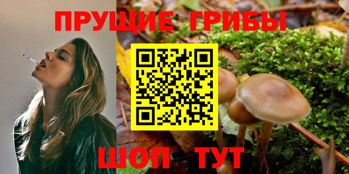 Галлюциногенные грибы GOLDEN TEACHER Фурманов