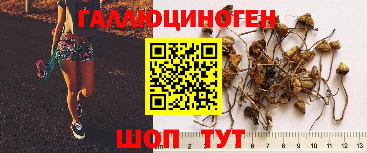 Псилоцибиновые грибы прущие грибы  Фурманов 