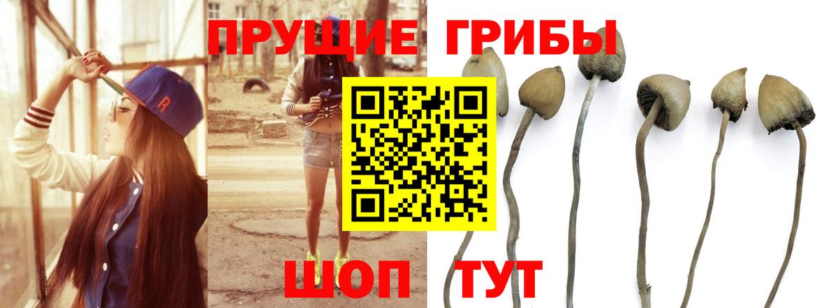 МЕФ Фурманов
